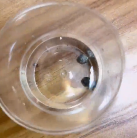 <a href='http://m.cqstc.com.cn' title='危險品貨代' >危險品貨代</a>